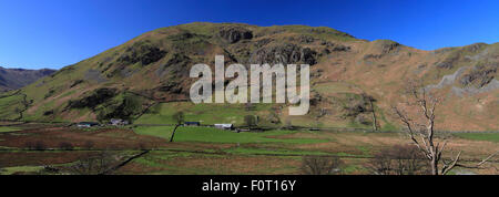 Frühling, The Martindale Common-Tal, mit Beda fiel, Nationalpark Lake District, Cumbria, England, UK. Stockfoto