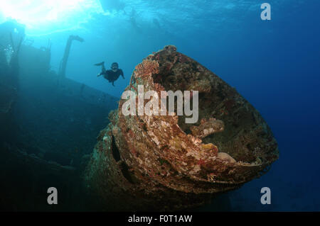 Rotes Meer, Ägypten. 15. Oktober 2014. Freediver taucht auf Wreckship Gianis D. Rotes Meer, Sharm El Sheikh, Egyp © Andrey Nekrassow/ZUMA Wire/ZUMAPRESS.com/Alamy Live-Nachrichten Stockfoto