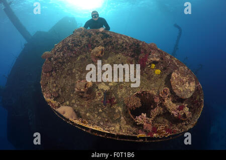 Rotes Meer, Ägypten. 15. Oktober 2014. Freediver taucht auf Wreckship Gianis D. Rotes Meer, Sharm El Sheikh, Egyp © Andrey Nekrassow/ZUMA Wire/ZUMAPRESS.com/Alamy Live-Nachrichten Stockfoto