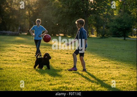 Zwei Jungen spielen Fußball in den letzten der Sommersonne in einem Londoner Park mit ihrem Haustier Hund Stockfoto