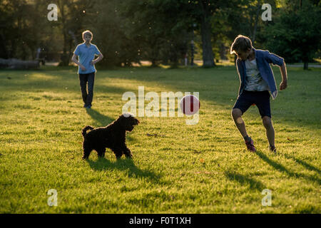 Zwei Jungen spielen Fußball in den letzten der Sommersonne in einem Londoner Park mit ihrem Haustier Hund Stockfoto