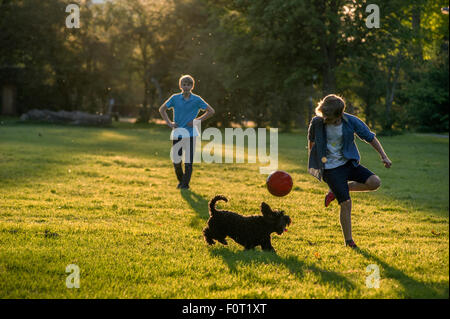 Zwei Jungen spielen Fußball in den letzten der Sommersonne in einem Londoner Park mit ihrem Haustier Hund Stockfoto