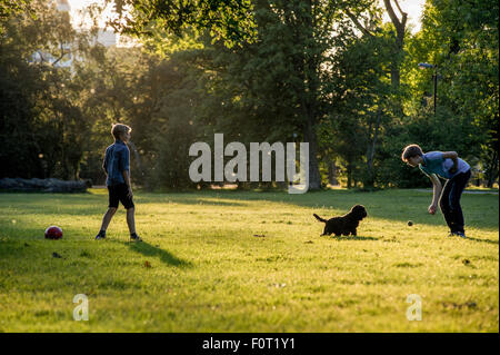 Zwei Jungen spielen Fußball in den letzten der Sommersonne in einem Londoner Park mit ihrem Haustier Hund Stockfoto