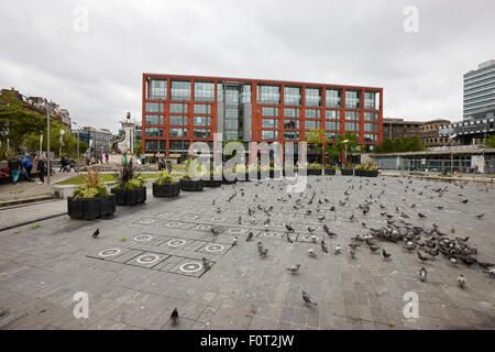 Herde von Tauben in Piccadilly Gardens Manchester England UK Stockfoto
