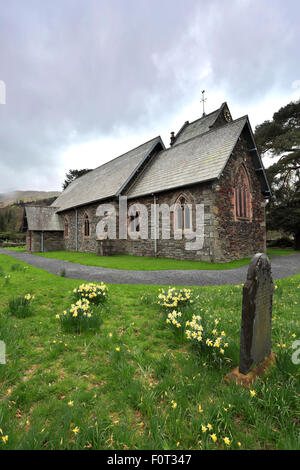 Narzissen, Frühling St. Patricks Kirche Patterdale Village, Nationalpark Lake District, Cumbria, England, UK Stockfoto