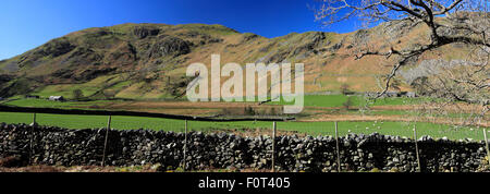 Frühling, The Martindale Common-Tal, mit Beda fiel, Nationalpark Lake District, Cumbria, England, UK. Stockfoto