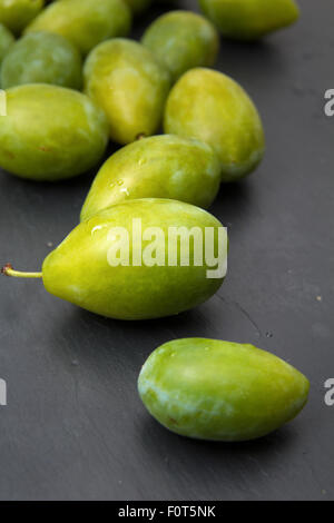 grüne Pflaumen auf schwarze Schieferoberfläche Stockfoto