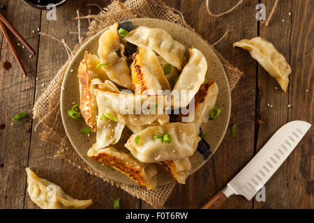 Hausgemachte asiatische Schweinefleisch Potstickers mit Soja-Sauce Stockfoto