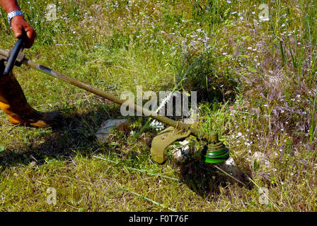 Gärtner, Liegewiese mit Rasen Trimmer String schneiden Stockfoto