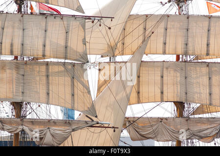 Großsegler Europa Amsterdam Sail 2015 Stockfoto