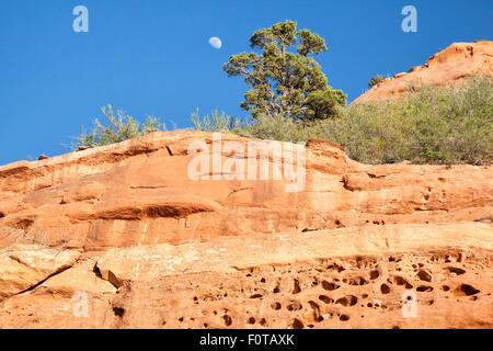 Kolob Canyons, Zion National Park, Utah, USA. Stockfoto