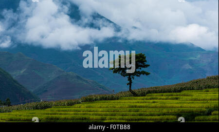 China Yunnan Baoshan Mangkuan Nujiang ländliche Landschaft Stockfoto