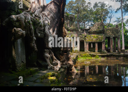 Die Ruinen des Preah-Khan-Tempels in Siem Reap, Kambodscha, erstrecken sich über Bäume. Stockfoto