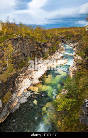 Herbst in Abisko Canyon Nationalpark Abisko, Norrbotten, Lappland, Skandinavien, Schweden Stockfoto