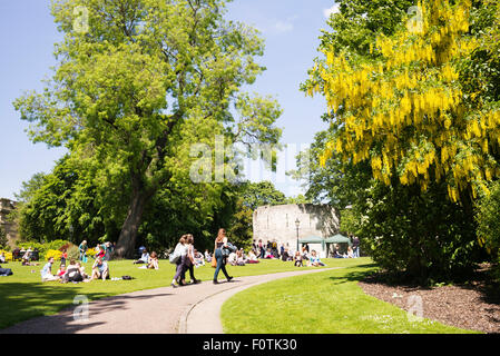 Ein Sommertag im Museum Gärten, Stadt York, Yorkshire, England, UK Stockfoto