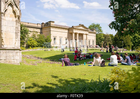 Entspannen im Museum Gärten, Stadt York, Yorkshire, England, UK Stockfoto