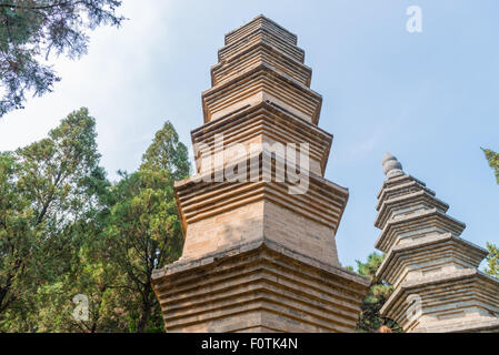 Die Pagode-Wald im Shaolin Tempel Stockfoto