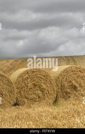 Heu / Strohballen und Stoppeln Feld nach geerntetem Getreide + Sturmwolken. Fokus auf die Vorderseite der Ballen. Für Ernährungssicherheit / Anbau von Lebensmitteln. Stockfoto