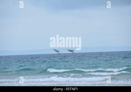 Zwei Dhaus auf hoher See vor Inhambane, Mosambik Stockfoto