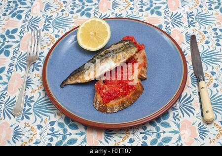 Pan gebratene Makrele und Tomaten Brot. Stockfoto