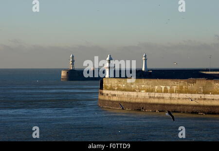 AJAXNETPHOTO 22. DEZEMBER 2009. DOVER, ENGLAND. -WELLENBRECHER - zugewandten Eingang zum Fährhafen. Foto: Jonathan Eastland/Ajax Ref: 92212 3074 Stockfoto