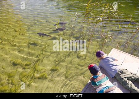 Zwei jungen am Steg, liegen im Wasser, erhöhte vew Stockfoto