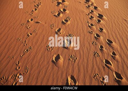 Hand, Fuß und Schuh druckt in Sand, Namib Naukluft National Park, Namib Wüste, Sossusvlei, Dead Vlei, Afrika Stockfoto