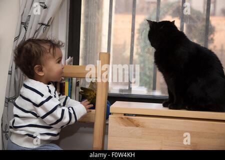 Porträt von weiblichen Kleinkind beobachten Katze auf der Fensterbank Stockfoto