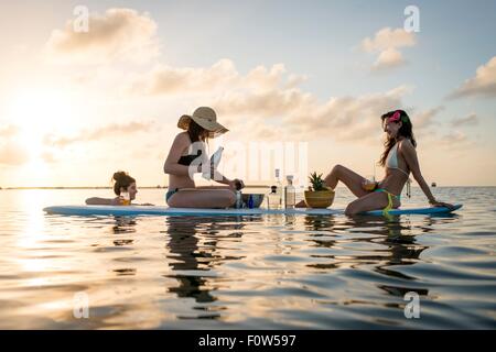 Zwei junge Frauen Vorbereitung Paddleboard Cocktails bei Sonnenuntergang, Islamorada, Florida, USA Stockfoto