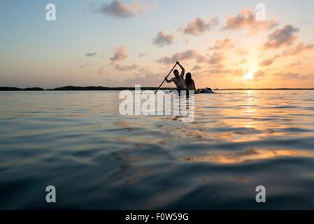 Silhouette Ansicht von drei Erwachsenen Freunden auf Paddleboard bei Sonnenuntergang, Islamorada, Florida, USA Stockfoto