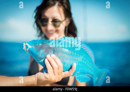 Männliche Hand, die türkisfarbene Papageienfische für junge Frau, Islamorada, Florida, USA Stockfoto