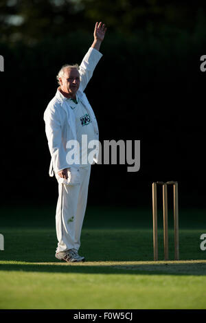 Kricket-Schiedsrichter signalisiert. Stockfoto