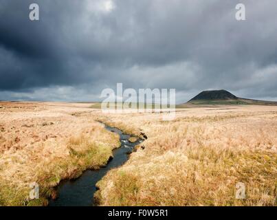 Blick auf Marschland und Slemish Mountain, County Antrim, Nordirland, Vereinigtes Königreich Stockfoto