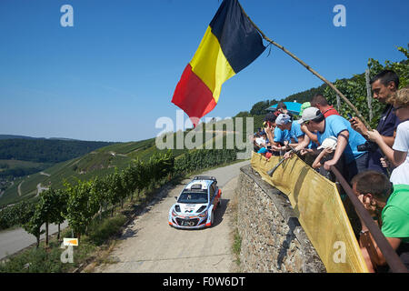 Kluesserath, Deutschland. 21. August 2015. Motorsport: Rallye Deutschland WM 9. Runde: Thierry Neuville und Nicolas Gilsoul aus Belgien Kreuzfahrt in ihre Hyundai i20 WRC in der Wertungsprüfung der Mittelmosel durch in den Weinbergen bei Kluesserath, Germany, 21. August 2015. Foto: THOMAS FREY/Dpa/Alamy Live News Stockfoto