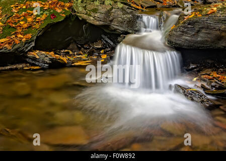 Wasserfälle im Ricketts Glen State Park in Pennsylvania. Stockfoto