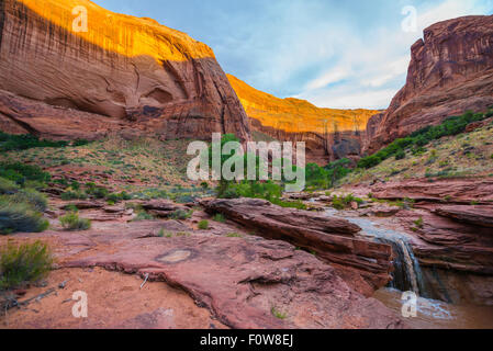 Stock Foto - Wasserfall im Coyote Gulch Teil des Grand Staircase Escalante National Monument im südlichen Utah Canyon country Stockfoto