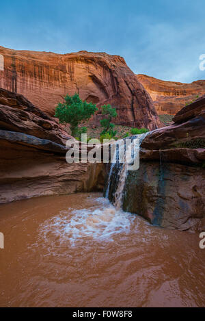 Stock Foto - Wasserfall im Coyote Gulch Teil des Grand Staircase Escalante National Monument im südlichen Utah Canyon country Stockfoto