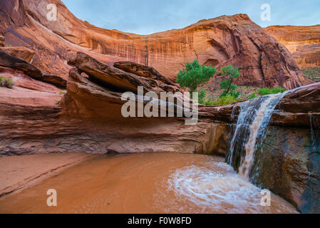 Stock Foto - Wasserfall im Coyote Gulch Teil des Grand Staircase Escalante National Monument im südlichen Utah Canyon country Stockfoto