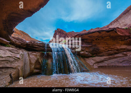 Stock Foto - Wasserfall im Coyote Gulch Teil des Grand Staircase Escalante National Monument im südlichen Utah Canyon country Stockfoto