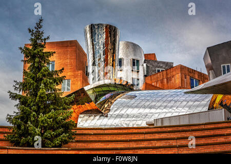 Der Ray und Maria Stata Center university Complex von Pritzker Prize preisgekrönte Architekt Frank Gehry für die Massachusetts Institut für Technologie (MIT). In Cambridge, Massachusetts. Stockfoto