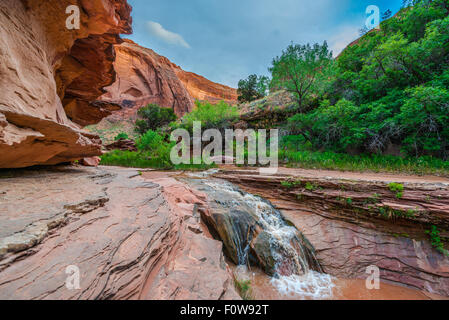 Stock Foto - Wasserfall im Coyote Gulch Teil des Grand Staircase Escalante National Monument im südlichen Utah Canyon country Stockfoto