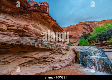 Stock Foto - Wasserfall im Coyote Gulch Teil des Grand Staircase Escalante National Monument im südlichen Utah Canyon country Stockfoto