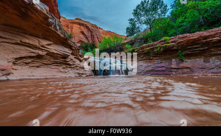 Stock Foto - Wasserfall im Coyote Gulch Teil des Grand Staircase Escalante National Monument im südlichen Utah Canyon Land niedrig Stockfoto