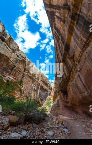 Grand Wash Waterpocket Fold in Capitol Reef Nationalpark Stockfoto