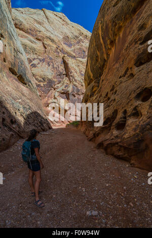 Grand Wash Waterpocket Fold in Capitol Reef Nationalpark Stockfoto