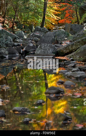 Die leuchtenden Farben des Herbstes spiegeln sich auf dem Wasser von einem ruhigen friedlichen Bach. Stockfoto