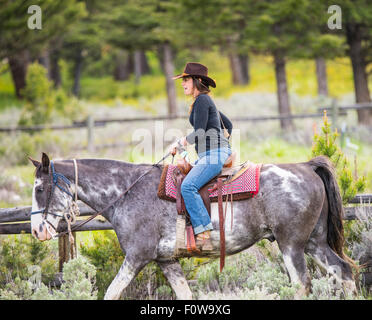 Frau genießt Ausritt am Tower-Roosevelt Korallen. Lamar Valley, Yellowstone-Nationalpark, Wyoming, USA Stockfoto