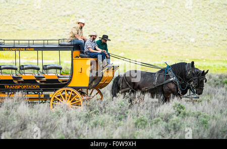 Tower-Roosevelt Wagon Fahrt und Grillparty mit Cowboys, die Lenkung der Pferdewagen. Lamar Valley, Yellowstone-Nationalpark, Wyoming, Stockfoto
