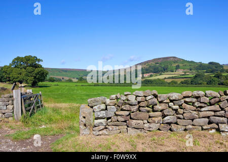 Rudland Rigg betrachtet über eine traditionelle Trockenmauer in Farndale, North York moors National Park in North Yorkshire im August Stockfoto