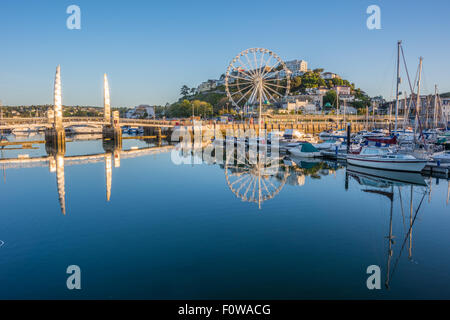 Frühen Morgen Ruhe in Torquay Hafen Devon UK Stockfoto